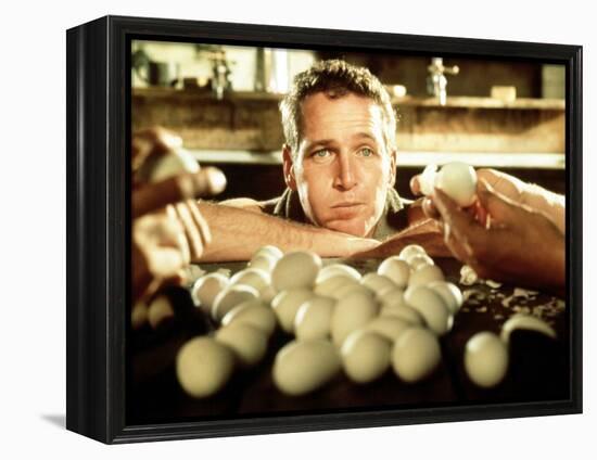 Cool Hand Luke, Paul Newman, 1967-null-Framed Stretched Canvas