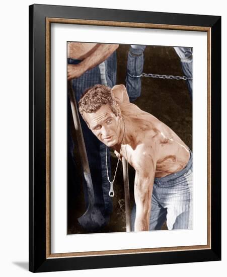 Cool Hand Luke, Paul Newman, 1967-null-Framed Photo