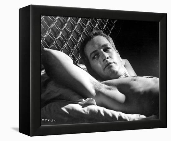 Cool Hand Luke-null-Framed Stretched Canvas