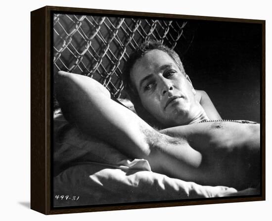 Cool Hand Luke-null-Framed Stretched Canvas