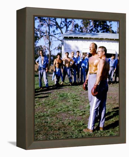 Cool Hand Luke-null-Framed Stretched Canvas