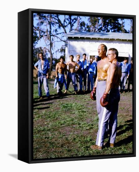 Cool Hand Luke-null-Framed Stretched Canvas