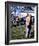 Cool Hand Luke-null-Framed Photo