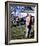 Cool Hand Luke-null-Framed Photo