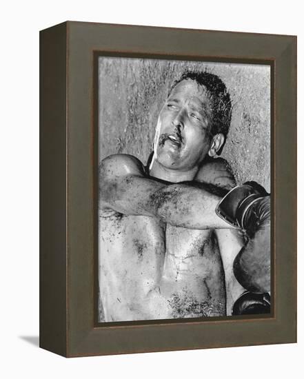 Cool Hand Luke-null-Framed Stretched Canvas