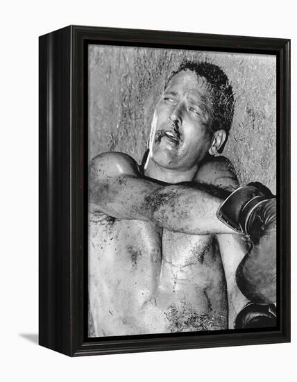 Cool Hand Luke-null-Framed Stretched Canvas