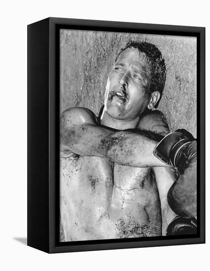 Cool Hand Luke-null-Framed Stretched Canvas