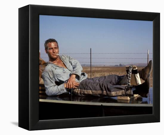 Cool Hand Luke-null-Framed Stretched Canvas