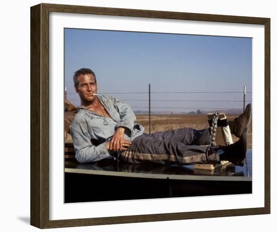 Cool Hand Luke-null-Framed Photo