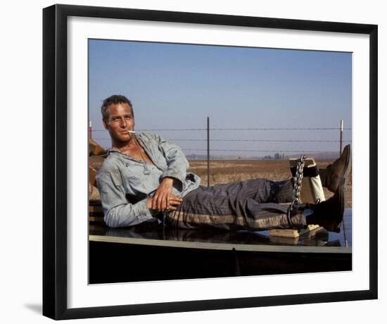 Cool Hand Luke-null-Framed Photo