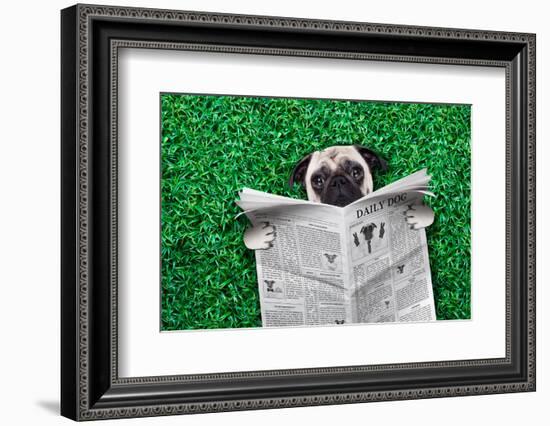 Cool Pug Dog-Javier Brosch-Framed Photographic Print