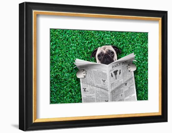 Cool Pug Dog-Javier Brosch-Framed Photographic Print