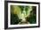 Cool Shade-Alan Hausenflock-Framed Photographic Print