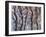 Cool Trees-Joseph Marshal Foster-Framed Art Print