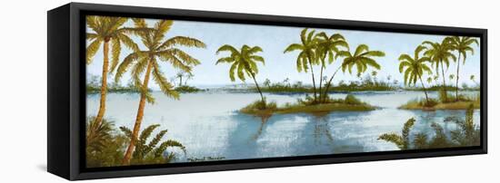 Cool Tropics II-Michael Marcon-Framed Stretched Canvas