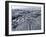 Cooled Lava from Recent Eruption, Kilauea Volcano, Hawaii Volcanoes National Park, Island of Hawaii-Ethel Davies-Framed Photographic Print