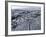 Cooled Lava from Recent Eruption, Kilauea Volcano, Hawaii Volcanoes National Park, Island of Hawaii-Ethel Davies-Framed Photographic Print