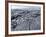 Cooled Lava from Recent Eruption, Kilauea Volcano, Hawaii Volcanoes National Park, Island of Hawaii-Ethel Davies-Framed Photographic Print