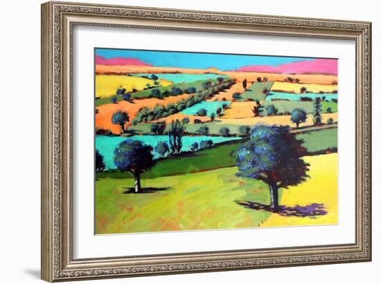 Coombe close up 4-Paul Powis-Framed Giclee Print