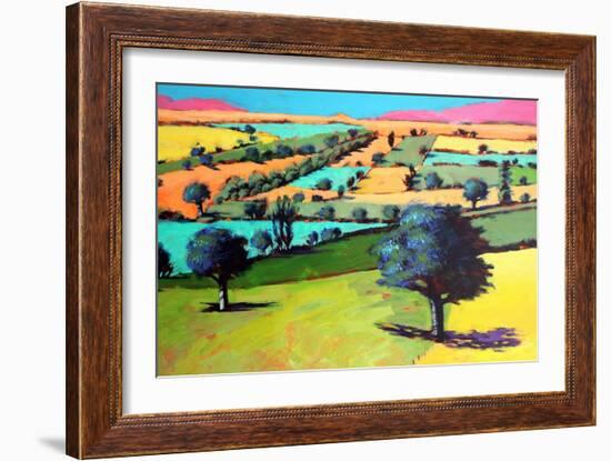 Coombe close up 4-Paul Powis-Framed Giclee Print