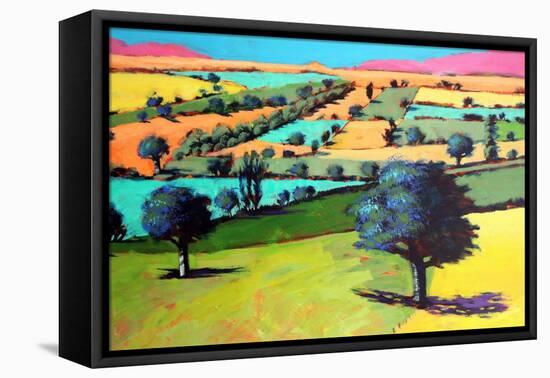 Coombe close up 4-Paul Powis-Framed Premier Image Canvas