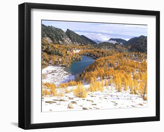 Coony Lake Amidst Golden Larch Trees, Okanogan National Forest, Washington State, USA-null-Framed Photographic Print