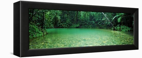 Cooper Creek Flowing Through a Forest, Cape Tribulation, Daintree River, Queensland, Australia-null-Framed Stretched Canvas