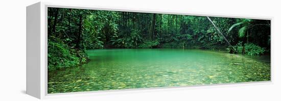 Cooper Creek Flowing Through a Forest, Cape Tribulation, Daintree River, Queensland, Australia-null-Framed Stretched Canvas