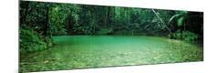 Photographic Print