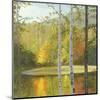 Cooper Lake, Autumn-Elissa Gore-Mounted Art Print