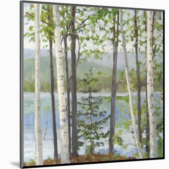 Cooper Lake I-Elissa Gore-Mounted Art Print