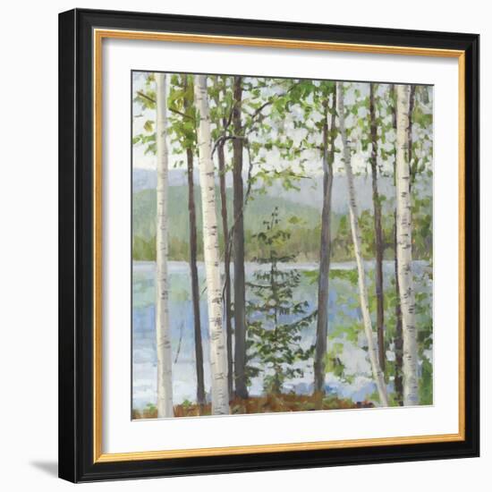 Cooper Lake I-Elissa Gore-Framed Art Print