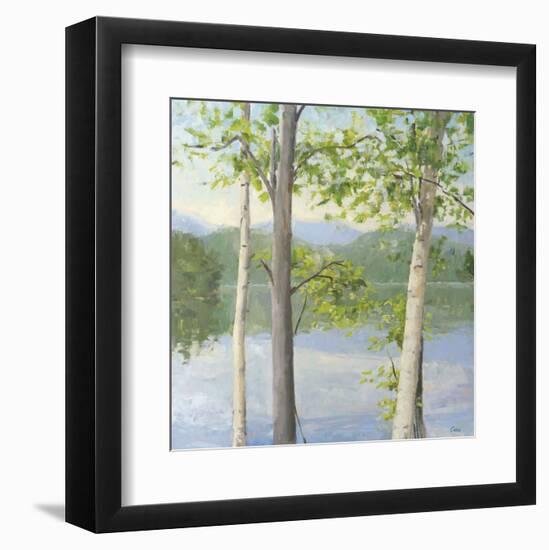 Cooper Lake II-Elissa Gore-Framed Art Print