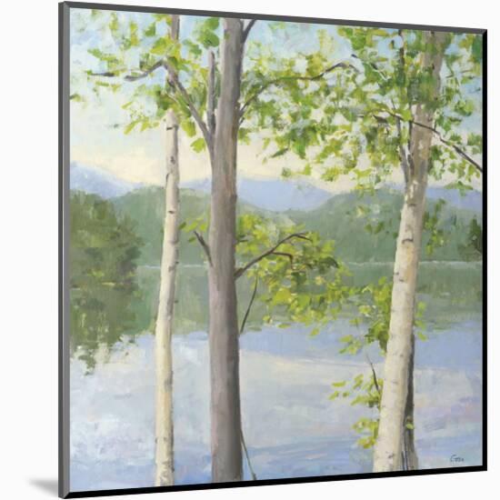 Cooper Lake II-Elissa Gore-Mounted Art Print