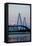 Cooper River Bridge, Charleston, South Carolina-Paul Souders-Framed Premier Image Canvas