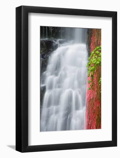 Coopey Falls, Columbia River Gorge National Scenic Area, Oregon, Usa-Russ Bishop-Framed Photographic Print