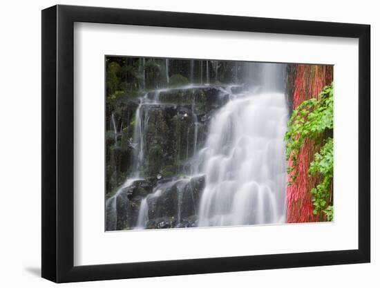 Coopey Falls, Columbia River Gorge National Scenic Area, Oregon, Usa-Russ Bishop-Framed Photographic Print