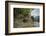 Coot (Fulica), Young Chick Feeding, Gloucestershire, England, United Kingdom-Janette Hill-Framed Photographic Print