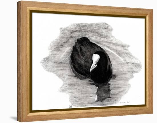 Coot of London, 2013-Nancy Moniz-Framed Premier Image Canvas