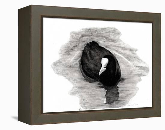 Coot of London, 2013-Nancy Moniz-Framed Premier Image Canvas