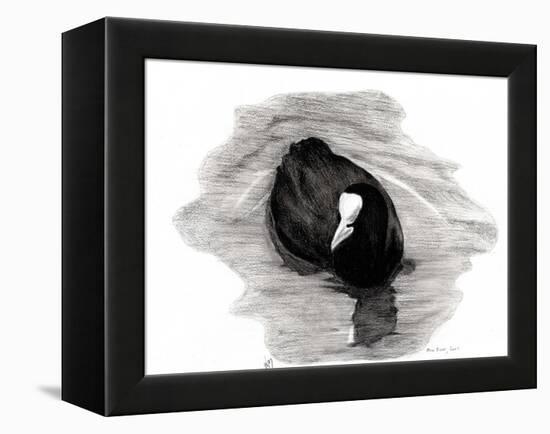 Coot of London, 2013-Nancy Moniz-Framed Premier Image Canvas
