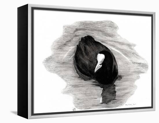 Coot of London, 2013-Nancy Moniz-Framed Premier Image Canvas