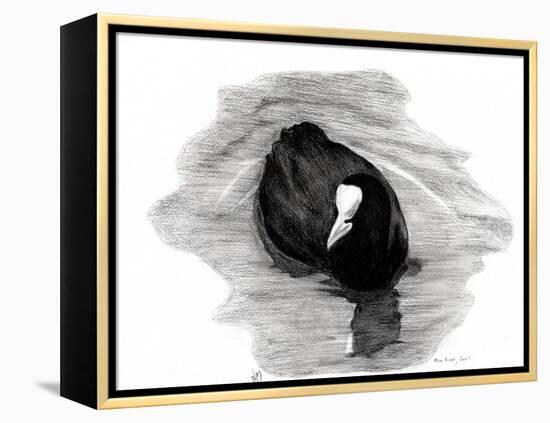 Coot of London, 2013-Nancy Moniz-Framed Premier Image Canvas