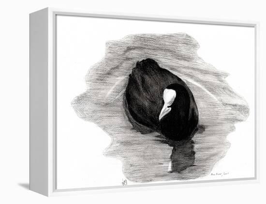 Coot of London, 2013-Nancy Moniz-Framed Premier Image Canvas