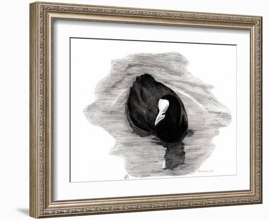 Coot of London, 2013-Nancy Moniz-Framed Giclee Print