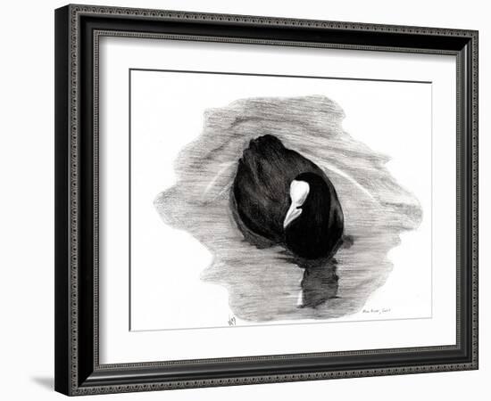 Coot of London, 2013-Nancy Moniz-Framed Giclee Print