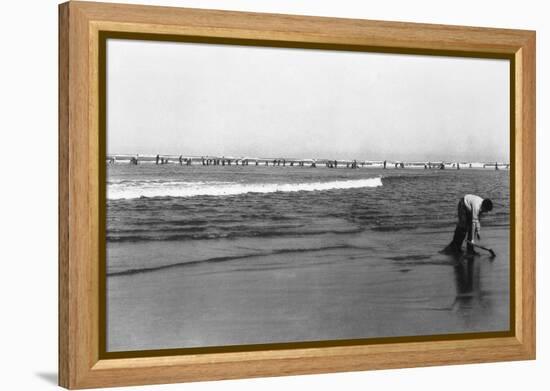 Copalis Beach, Washington - People Digging for Razor Clams-Lantern Press-Framed Stretched Canvas