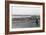 Copalis Beach, Washington - People Digging for Razor Clams-Lantern Press-Framed Art Print