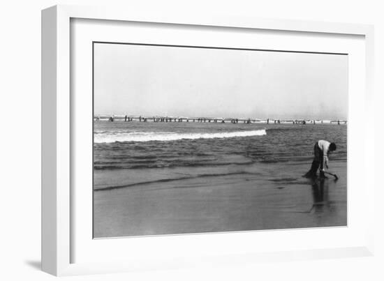 Copalis Beach, Washington - People Digging for Razor Clams-Lantern Press-Framed Art Print