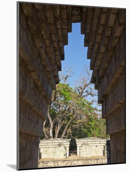 Copan Ruinas, Copan Ruins, Central Plaza, Ball Court, Ad 731, Honduras-Jane Sweeney-Mounted Photographic Print